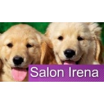 Krábková Irena - Salon Irena – logo společnosti