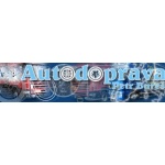 Bureš Petr - AUTODOPRAVA – logo společnosti