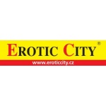 City Realex, a.s. (pobočka Ústí nad Orlicí) – logo společnosti
