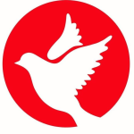 Jiří Holub – Hobbymarket – logo společnosti