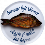 Rybářství SALMO – logo společnosti