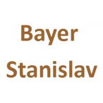 Bayer Stanislav- Obkladačské a dlaždičské práce – logo společnosti