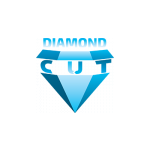 Šleis Petr- DIAMOND STAVBY – logo společnosti