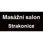 Chvosta Vojtěch – logo společnosti