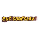 Základní umělecká škola, Soběslav, Školní náměstí 56 – logo společnosti