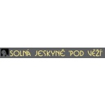 Vejvoda Ladislav- solná jeskyně – logo společnosti