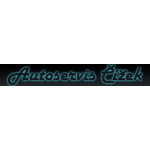 Autoservis Čížek s.r.o. – logo společnosti