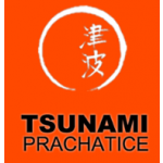Karatedo klub Tsunami Prachatice, o. s. – logo společnosti