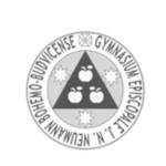 Biskupské gymnázium J. N. Neumanna a Církevní základní škola – logo společnosti