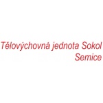 Tělovýchovná jednota Sokol Semice – logo společnosti