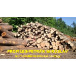 Petrák Miroslav - PROFILES – logo společnosti