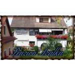 Baštýř Ladislav- PENZION AZALKA – logo společnosti