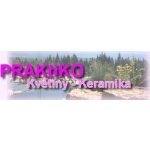 SKOŘEPOVÁ LENKA-KVĚTINY – logo společnosti