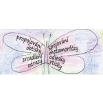 Dvořáková Johana – logo společnosti