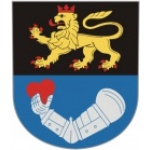 Město Toužim – logo společnosti