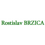 Rostislav Brzica – logo společnosti