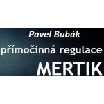 Bubák Pavel – logo společnosti
