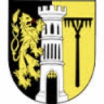 Městský úřad Žlutice – logo společnosti