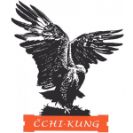 Bodhidharma -mezinárodní společnost čchi-kung – logo společnosti