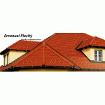 Plecitý Emanuel – logo společnosti