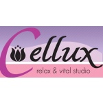 Salón- Cellux – logo společnosti