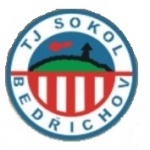TJ SOKOL BEDŘICHOV – logo společnosti