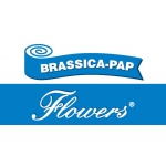 BRASSICA-PAP, spol. s r.o. – logo společnosti