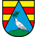 Město Náměšť nad Oslavou – logo společnosti