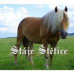Stáje Štětice – logo společnosti