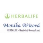 Břízová Monika – logo společnosti