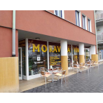 Volfová Soňa – logo společnosti