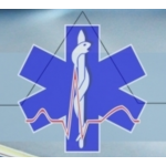 Janovská Anna MUDr., soukromá gynekologická ordinace, s.r.o. – logo společnosti