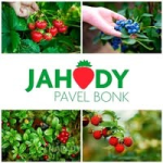 Pavel Bonk – Jahodárna Klatovy – logo společnosti