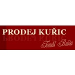 Bušta Tomáš – logo společnosti