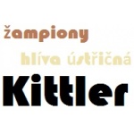 Kittler Zdeněk – logo společnosti