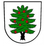 OBEC TIS – logo společnosti