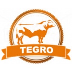 Tegro spol. s.r.o. – logo společnosti