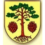 Obecní úřad Bory – logo společnosti